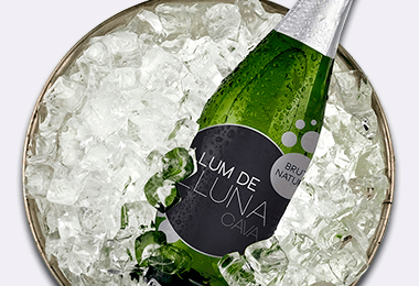 Our businesses: Self-Adhesive Materials